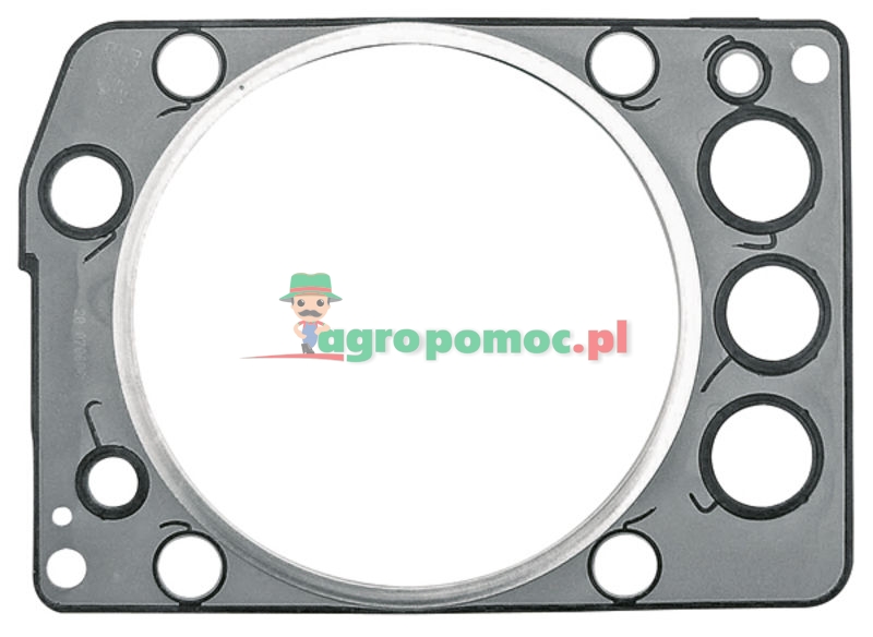 Těsnění hlavy motoru Elring | 4600160220