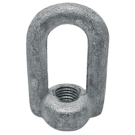 Ořech s okem